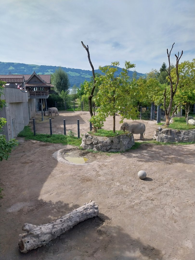 Himmapan - Main enclosure