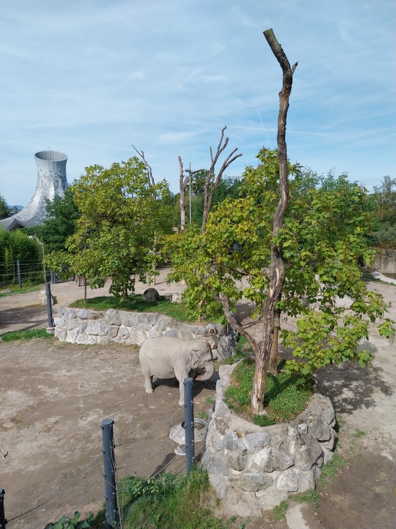 Himmapan - Main enclosure