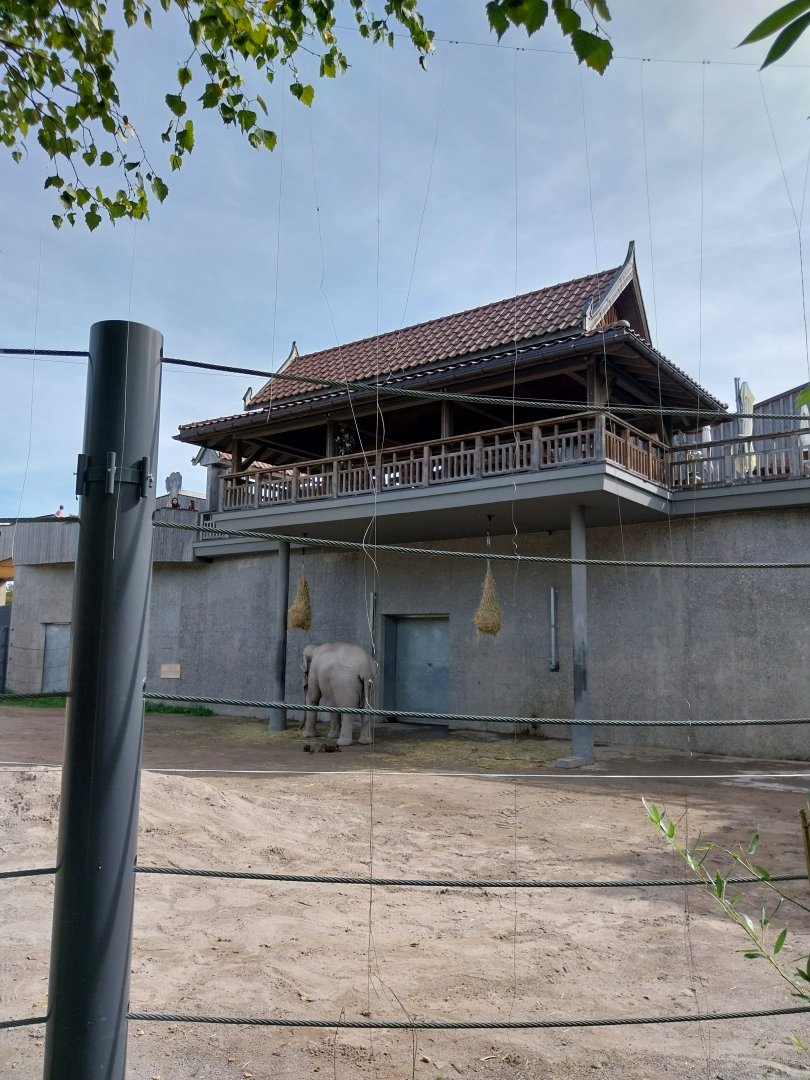 Himmapan - Thai restaurant & elephant barn