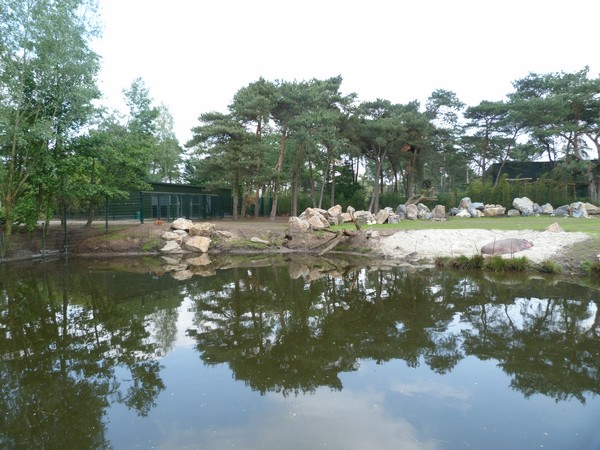 Hippo and antelope enclosure