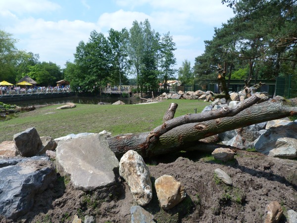 Hippo and antelope enclosure