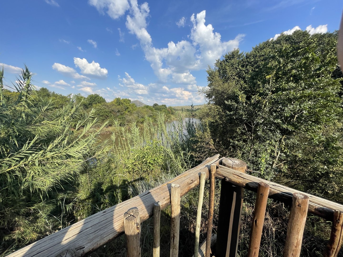 Hippo and Antelope Mixed Enclosure (Hippopotamus amphibius)