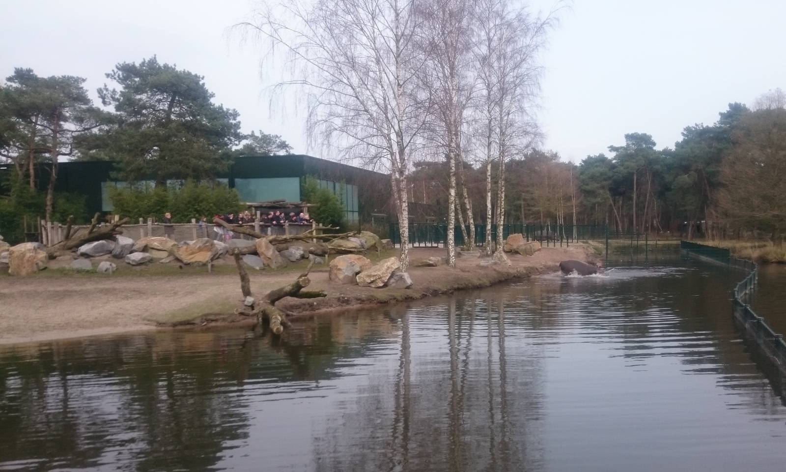 Hippo and Croc House and Hippo and Antilope outdoor enclosure