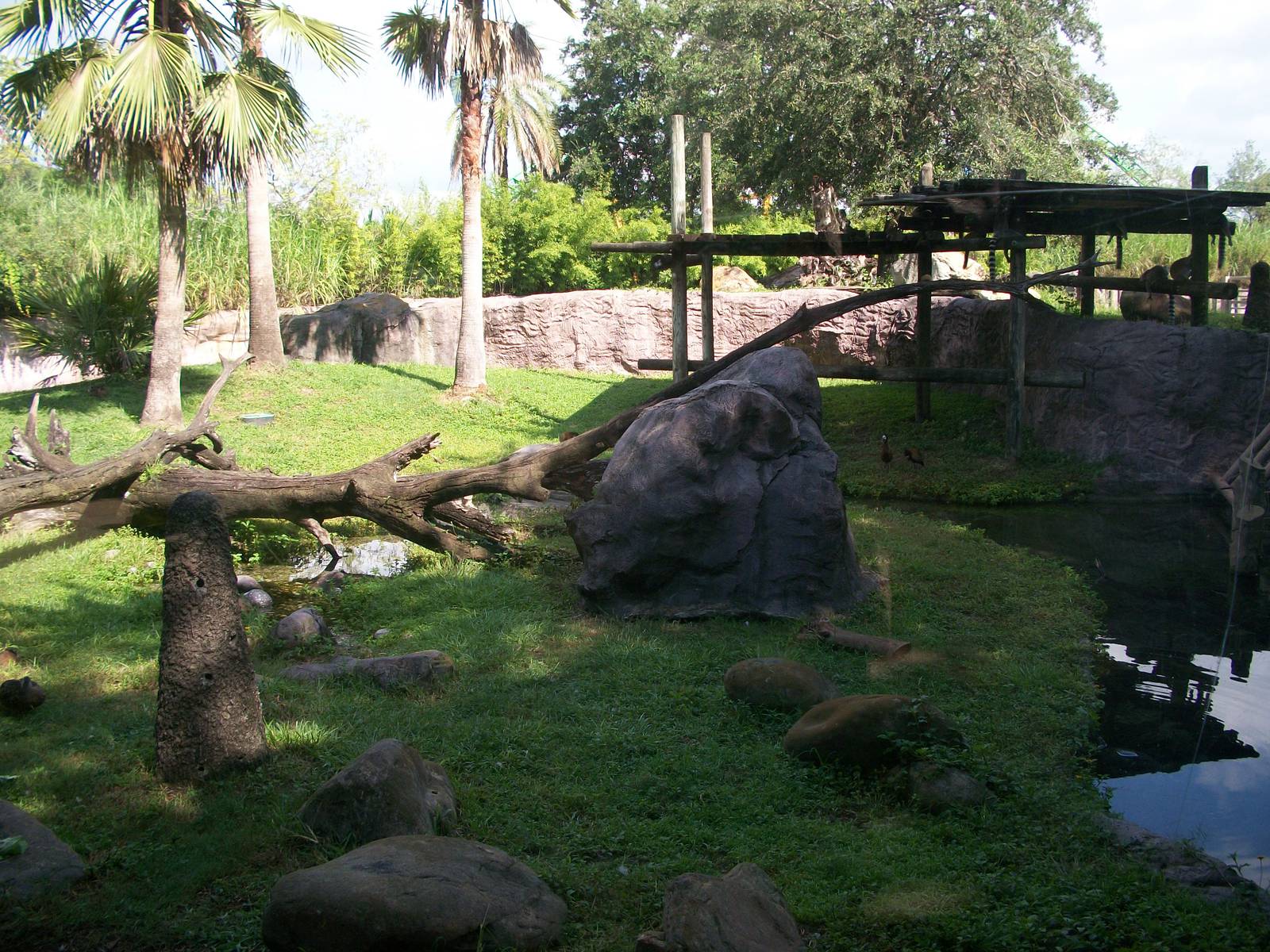 Hippo and Lemur Exhibit