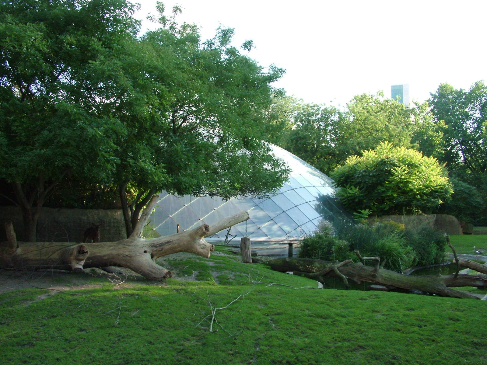 Hippo and Nyala Paddock at Berlin Zoo, 31/08/11