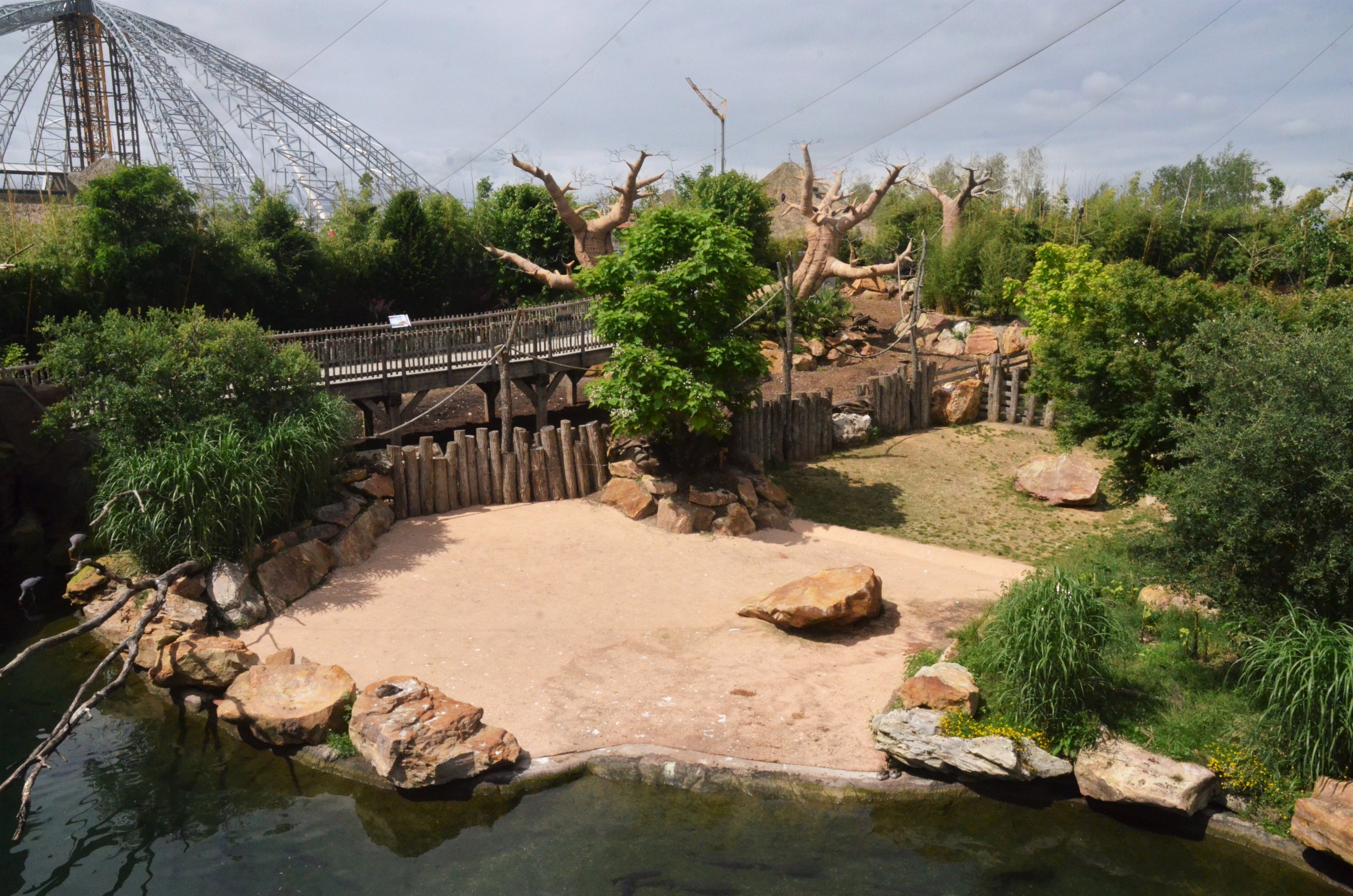 Hippo and Red River Hog Enclosures at Beauval, 12/06/18