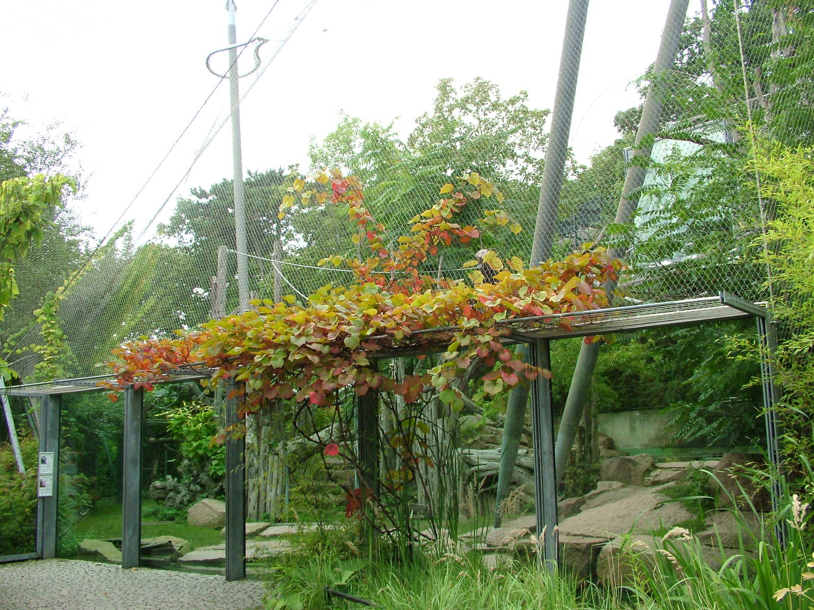 Hippo and Saki Exhibit at Halle 04/09/11
