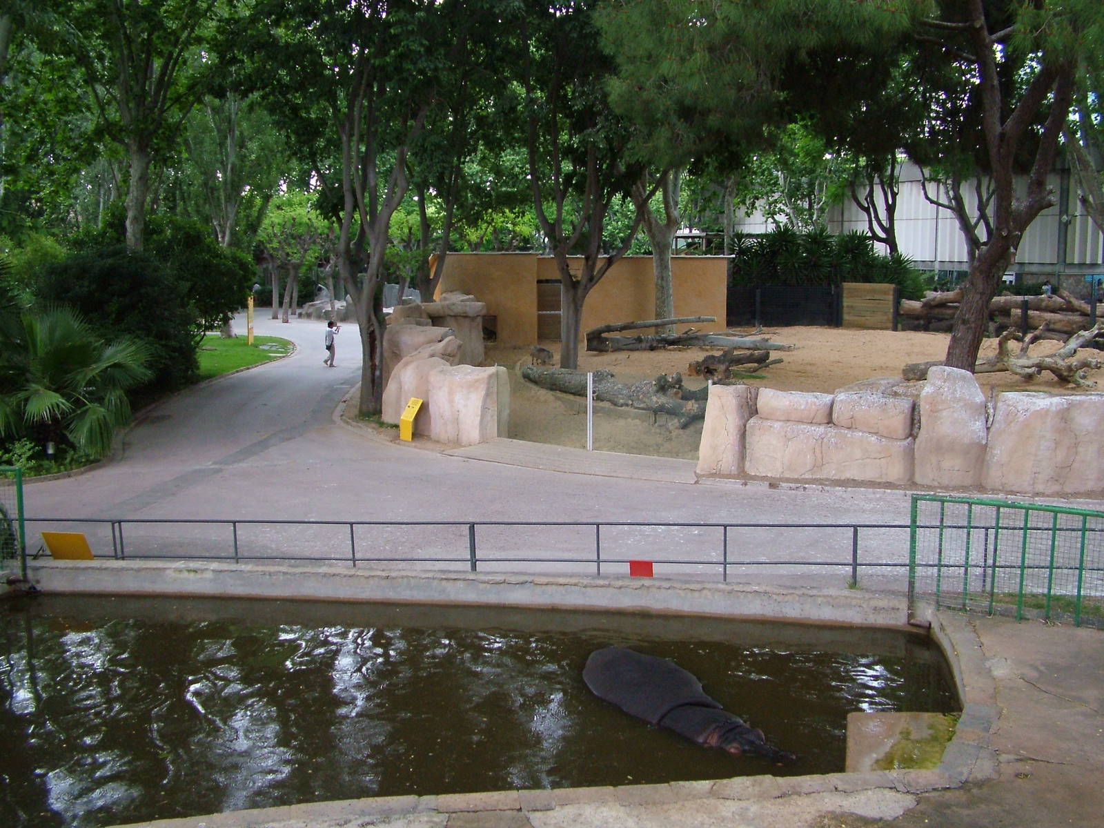 Hippo and Warthog Exhibits at Barcelona, 30/05/11