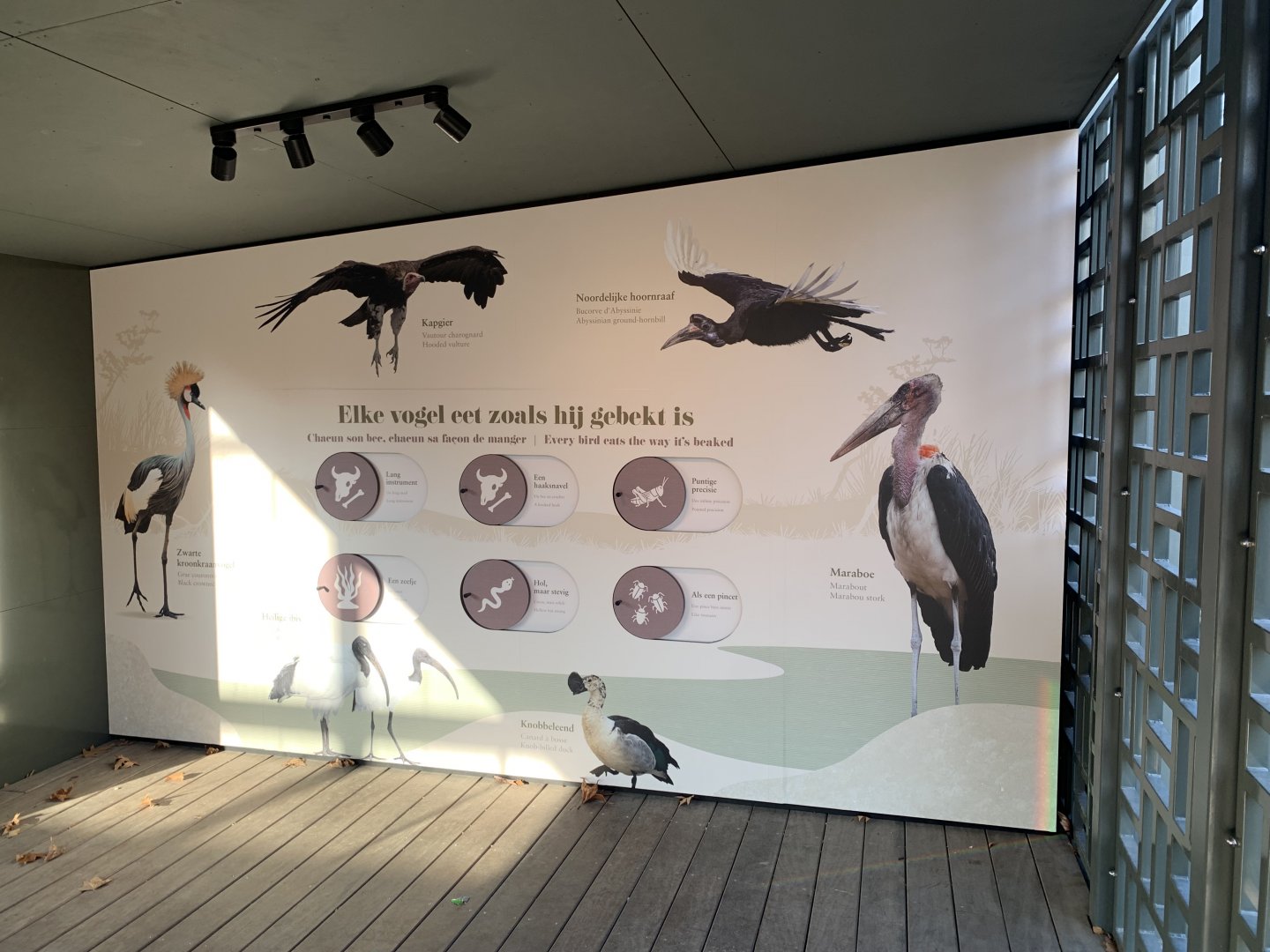 Hippo aviary signage