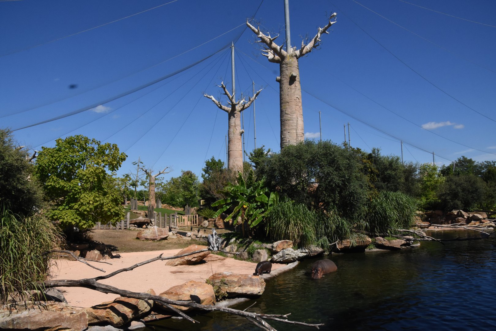 Hippo aviary