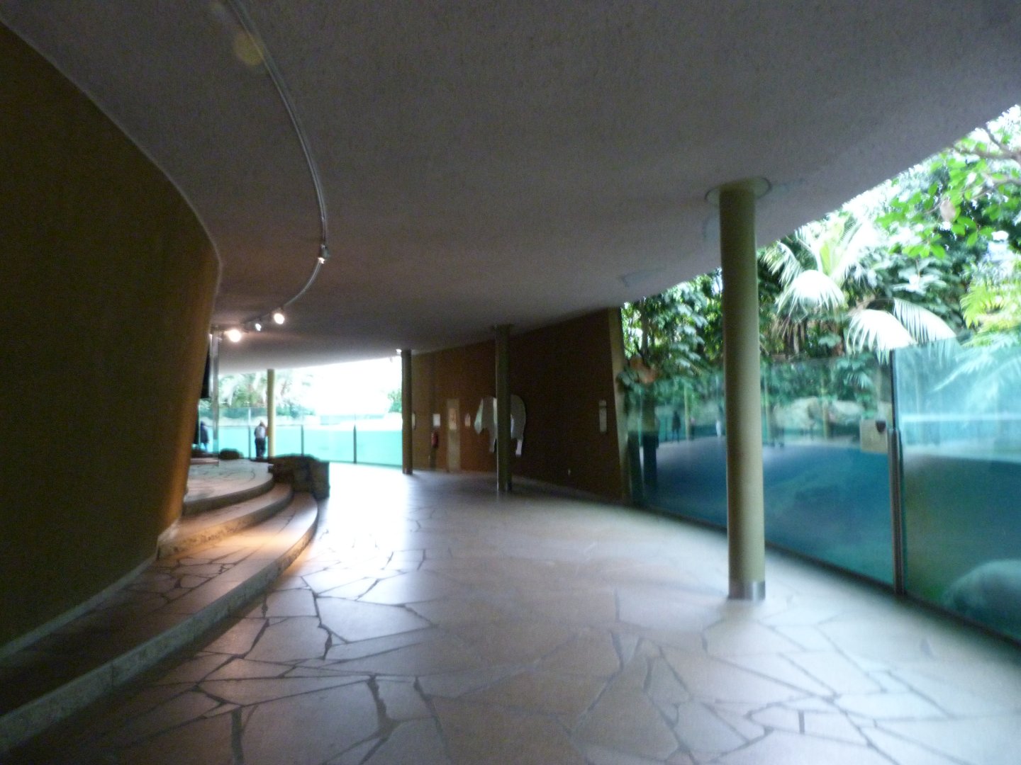 "Hippo Bay" view -Zoologischer Garten Berlin (2024)