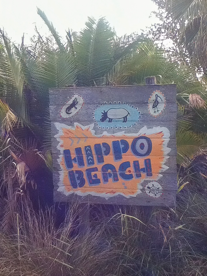 Hippo Beach Signage - June 2016