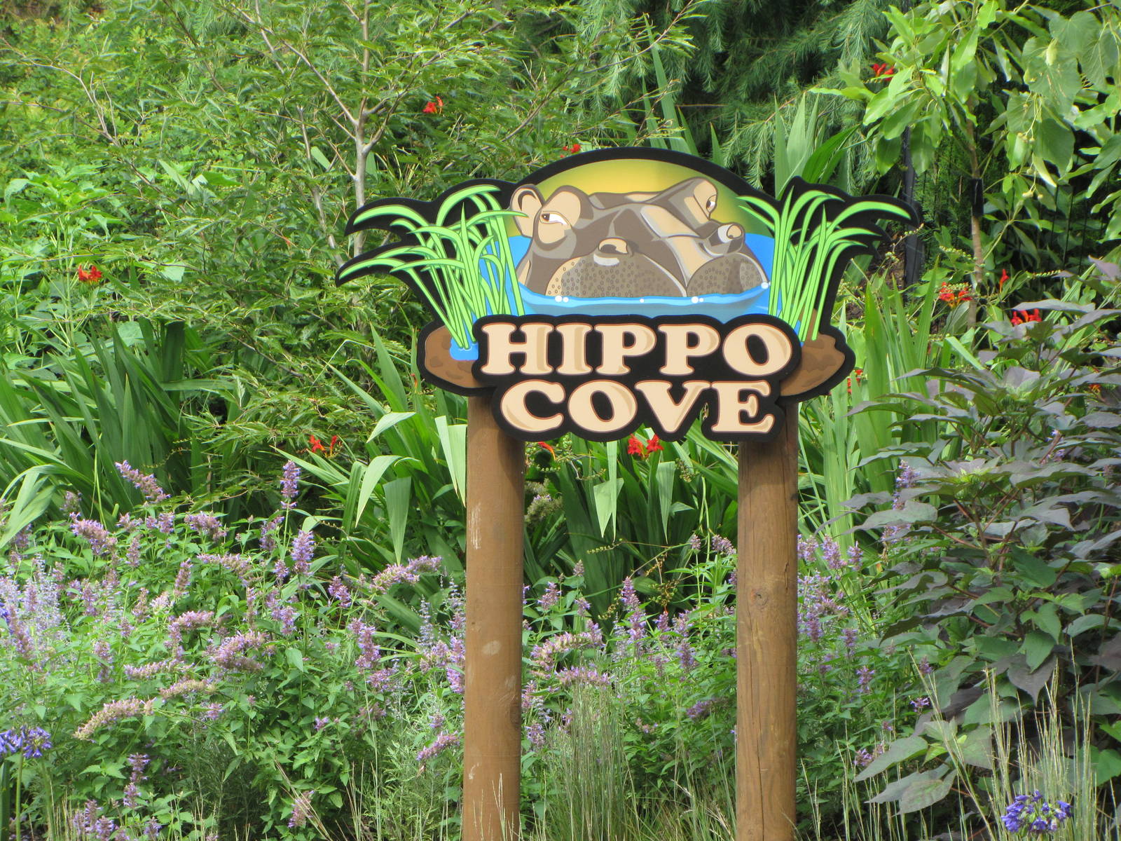 Hippo Cove Sign