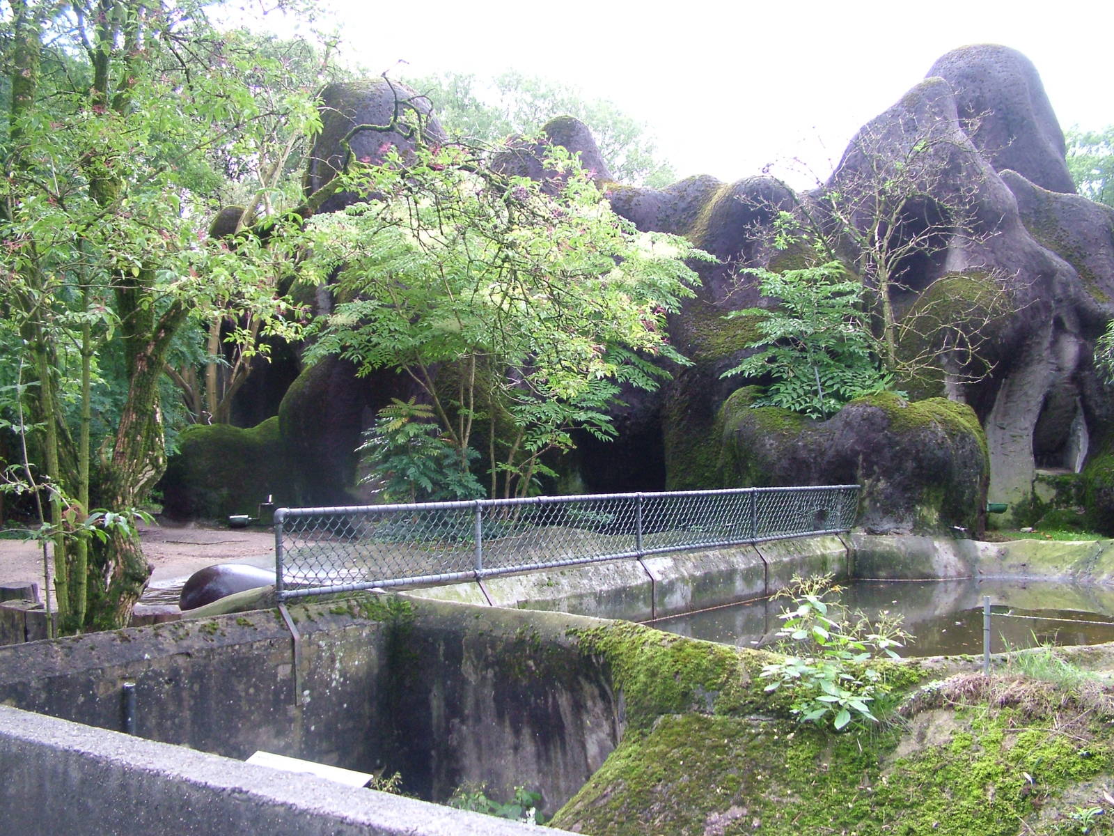 Hippo/Duiker Exhibits at Burgers Zoo Arnhem, 29/08/10
