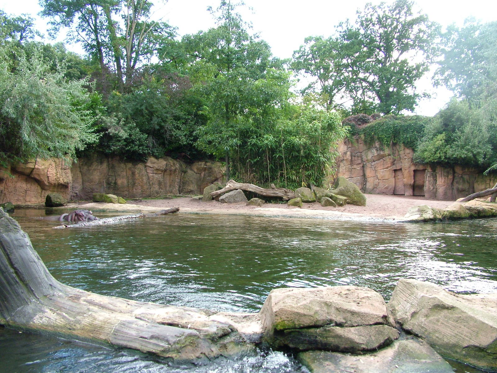Hippo enclosure at Hannover Zoo 2007
