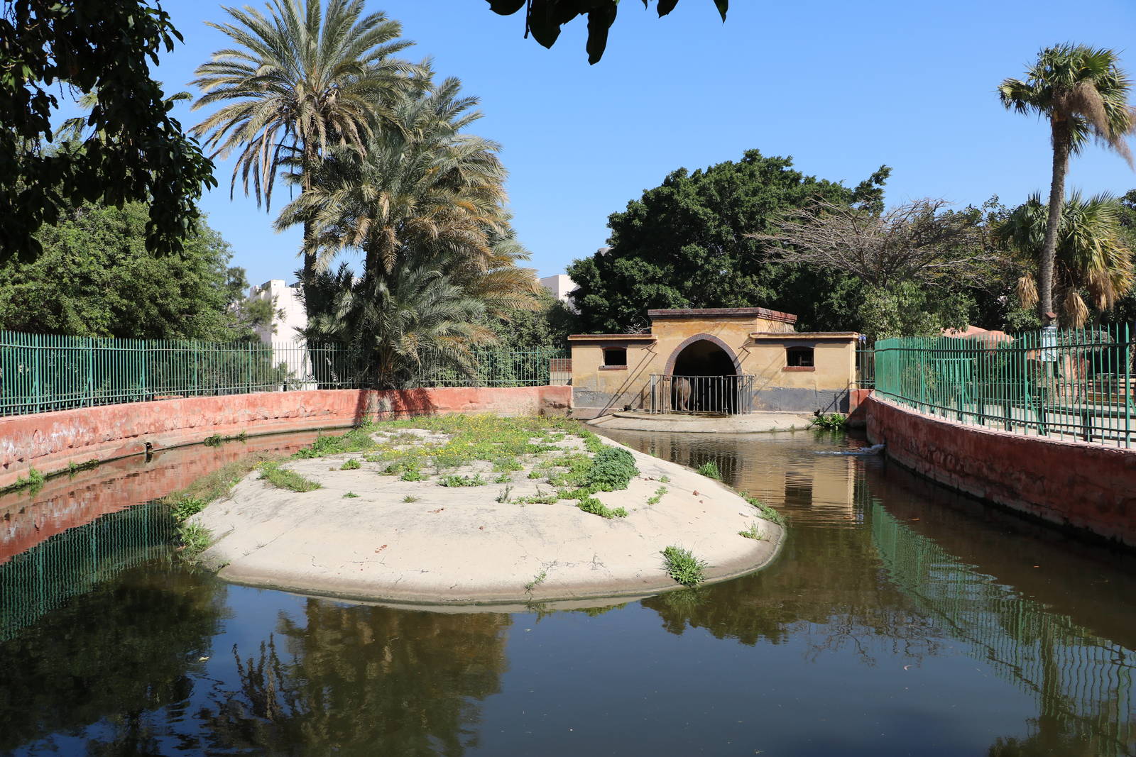 Hippo enclosure, February 2016
