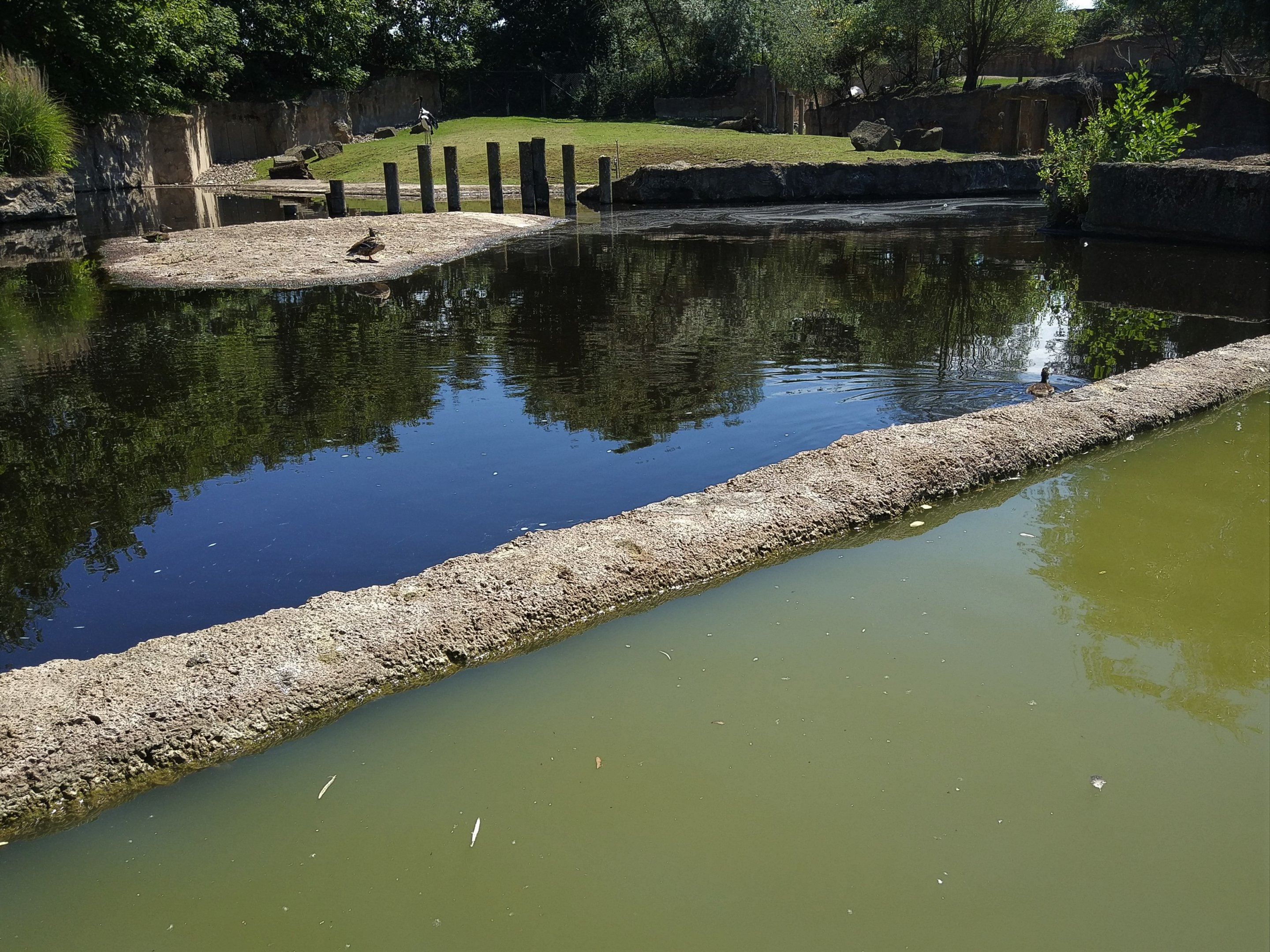 Hippo Enclosure from Boat