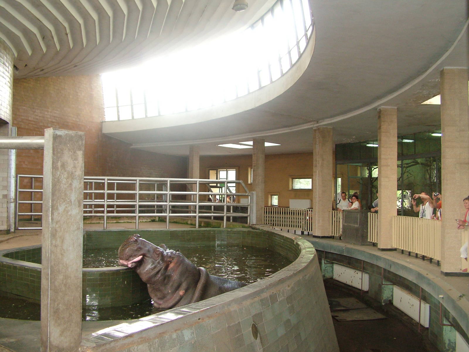 Hippo enclosure in Elephant House at Katowice Zoo Sept 2008