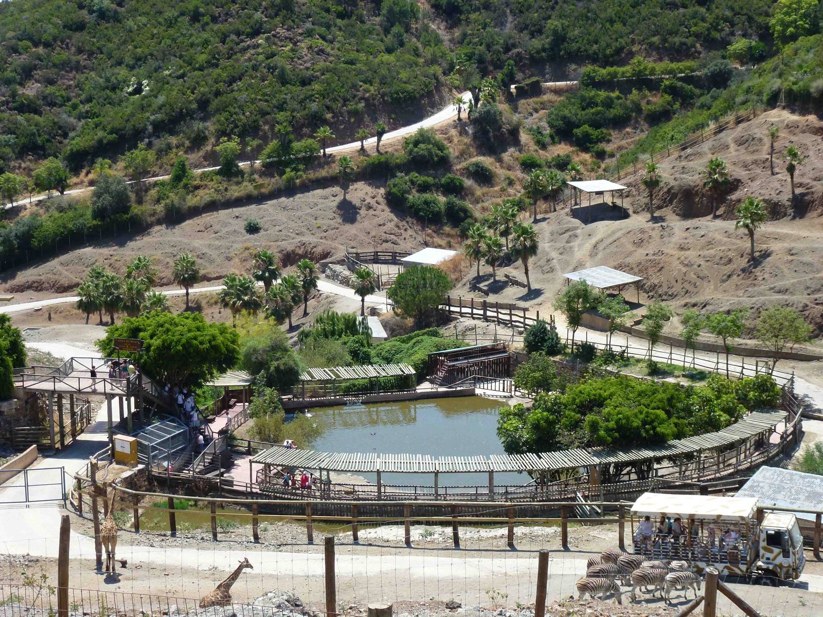 Hippo enclosure, July 2013.