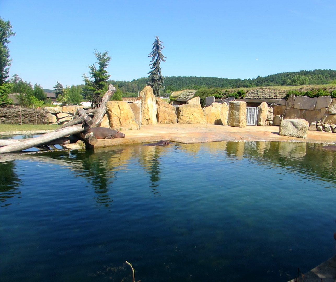 Hippo enclosure - July/2017