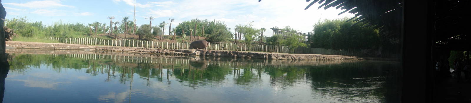 Hippo enclosure
