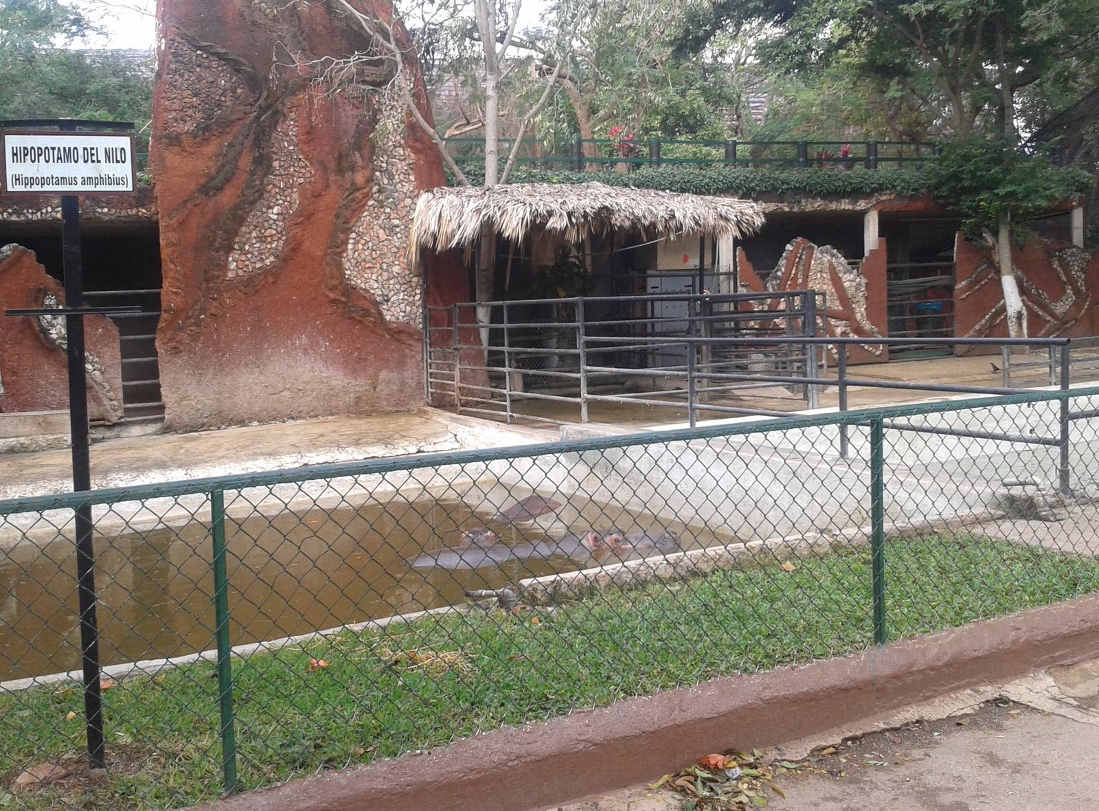 Hippo enclosure
