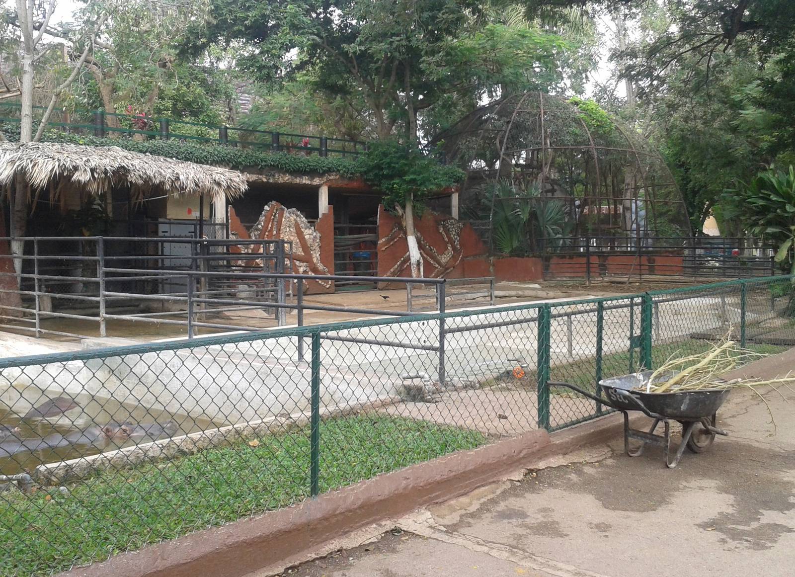 Hippo enclosure