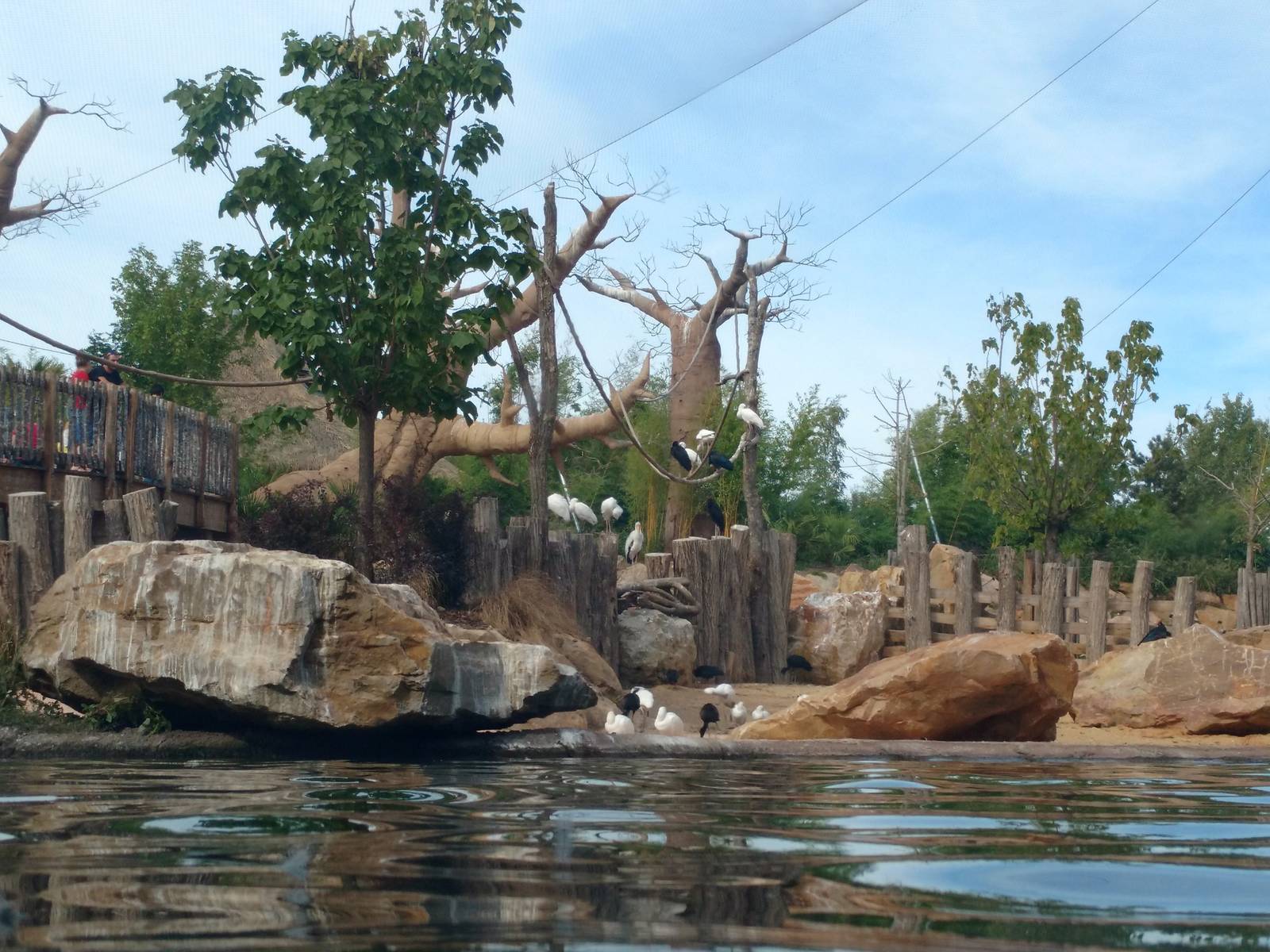 Hippo enclosure