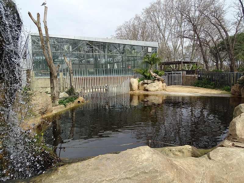 Hippo enclosure