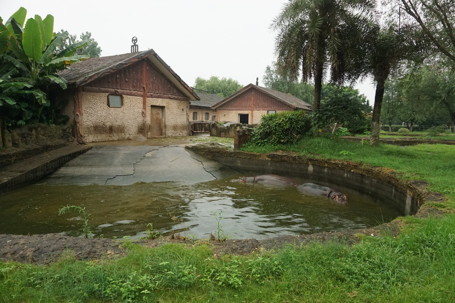 Hippo enclosure