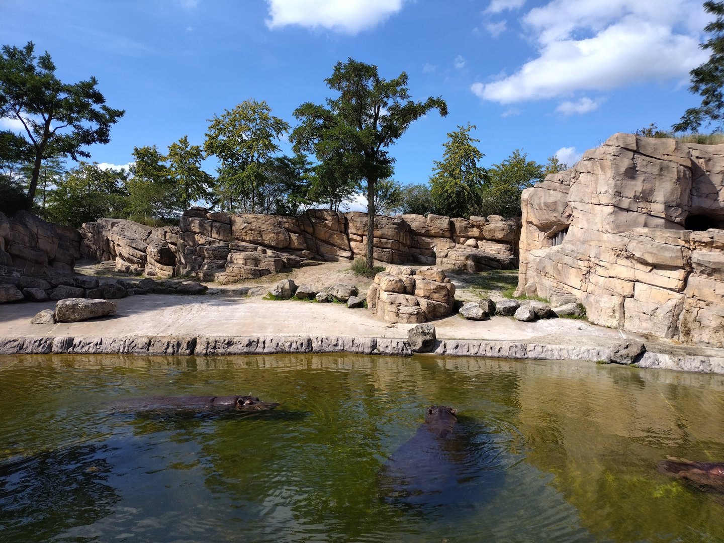 Hippo enclosure