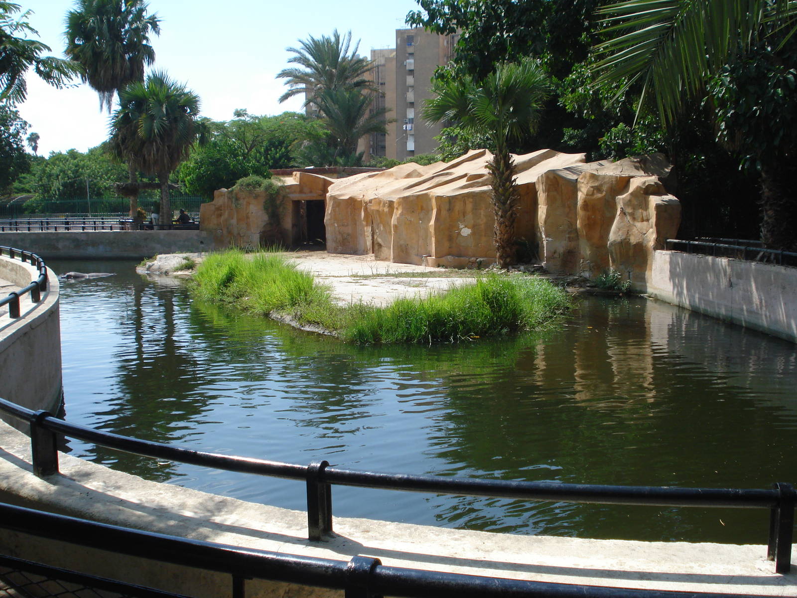 Hippo enclosure
