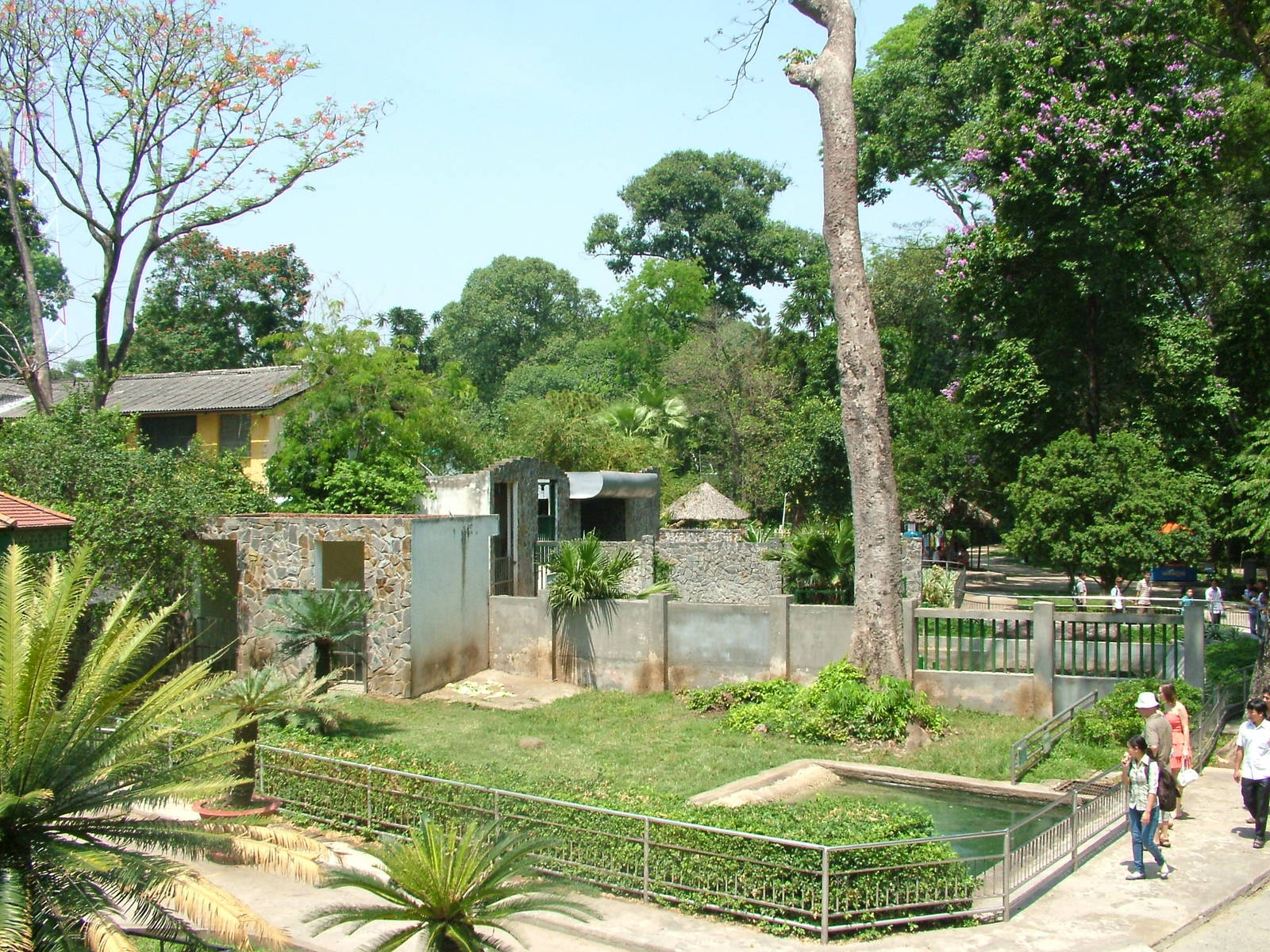 Hippo Enclosures at Saigon Zoo, 16/03/12