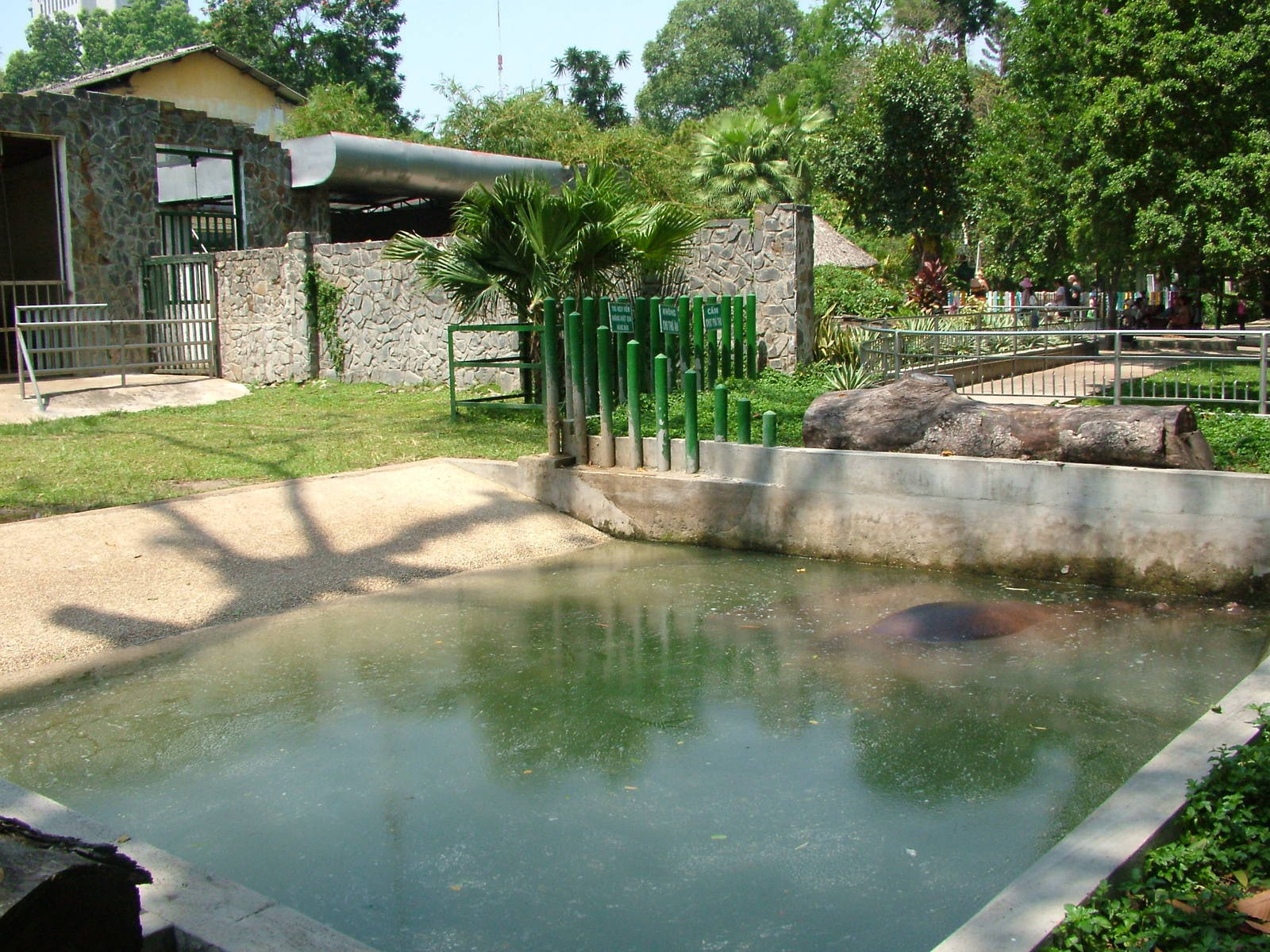 Hippo Enclosures at Saigon Zoo, 16/03/12