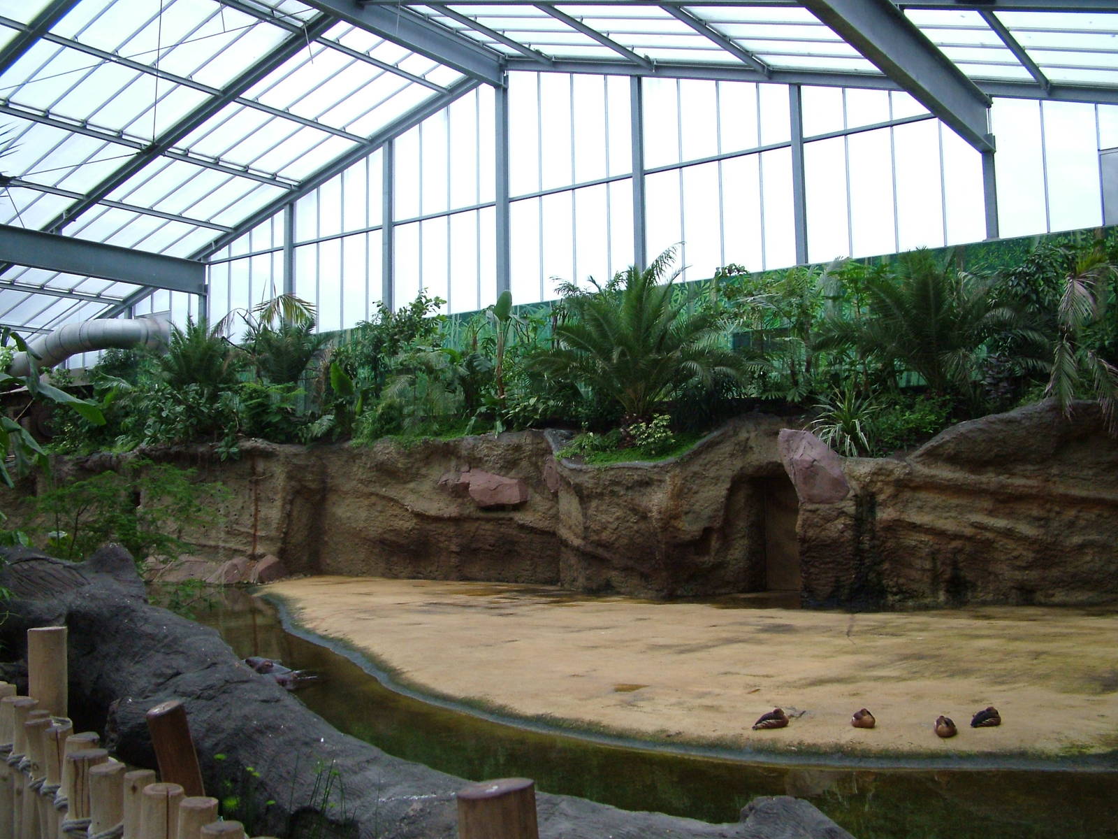 Hippo Exhibit at Cologne, 07/09/10