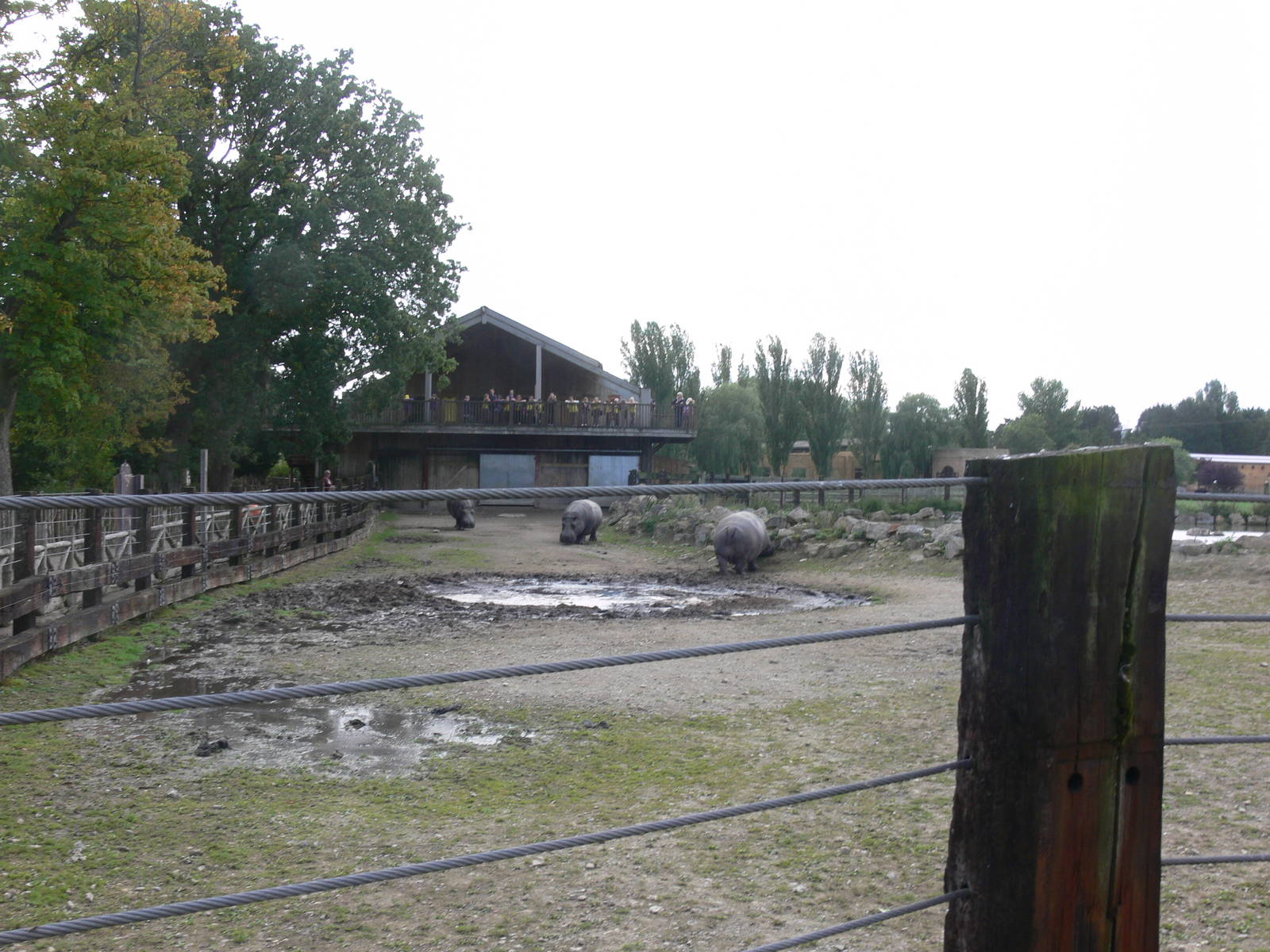 Hippo exhibit at Flamingo Land, 21/09/13