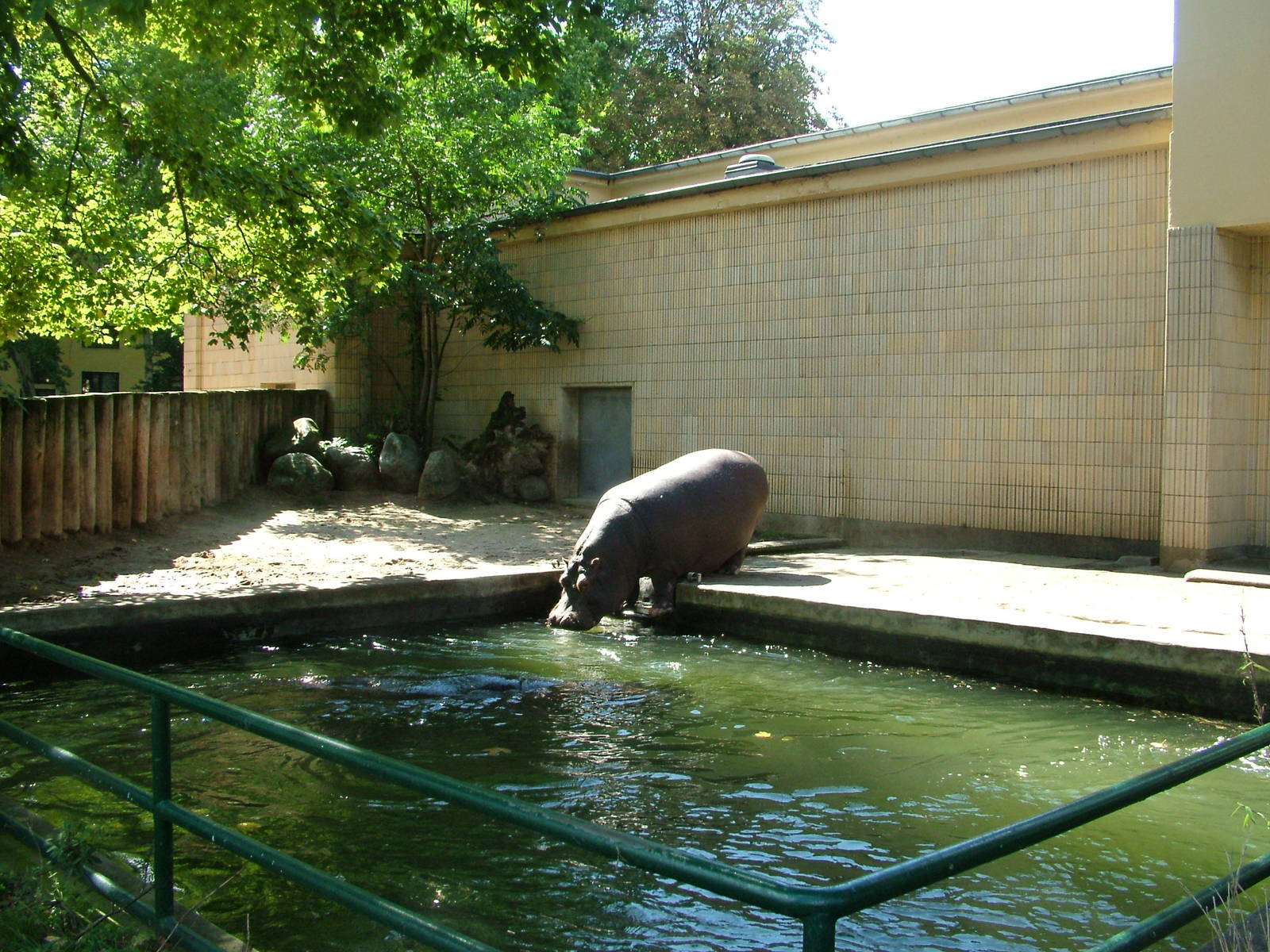 Hippo Exhibit at Frankfurt 31/08/10