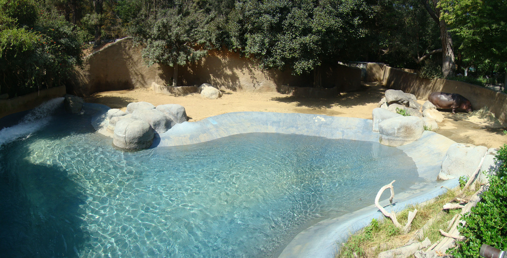 Hippo exhibit at the Los Angeles Zoo