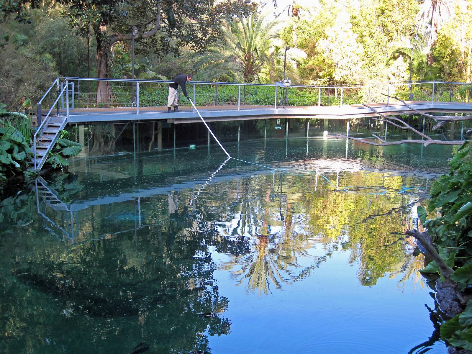 Hippo exhibit - behind the scenes tour
