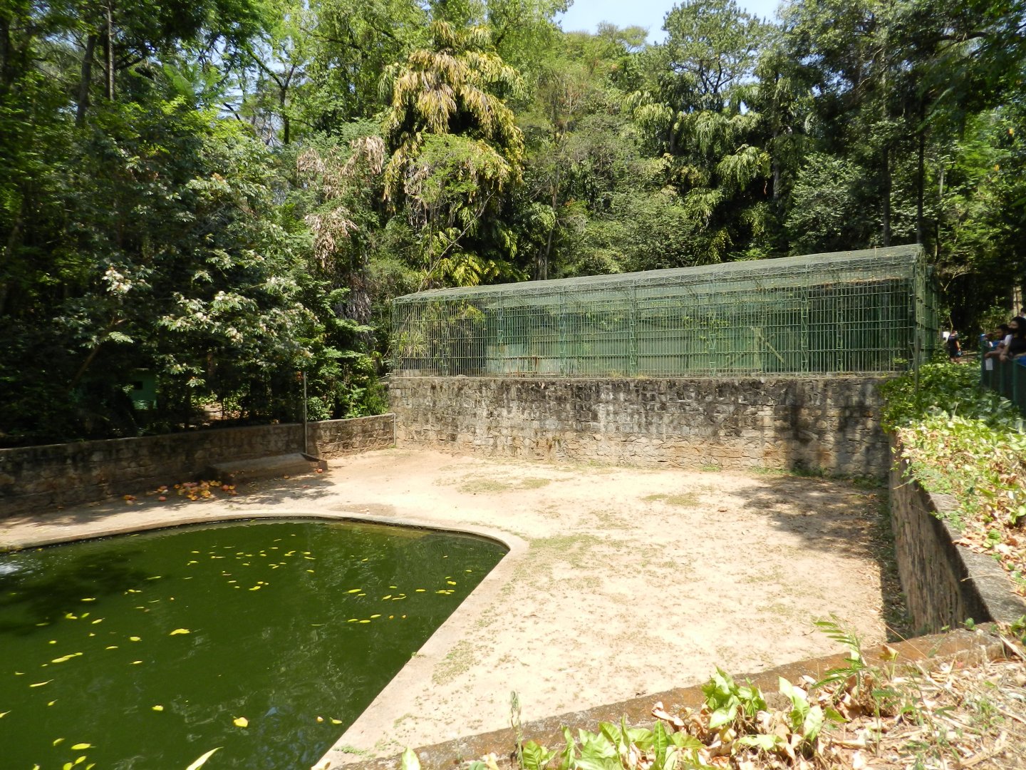 Hippo exhibit - Campinas zoo (BDJ)