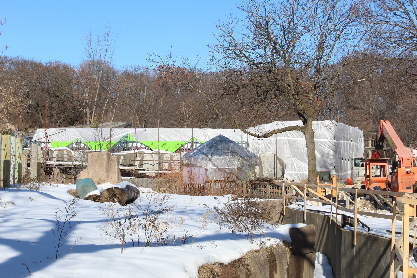 Hippo Exhibit Construction