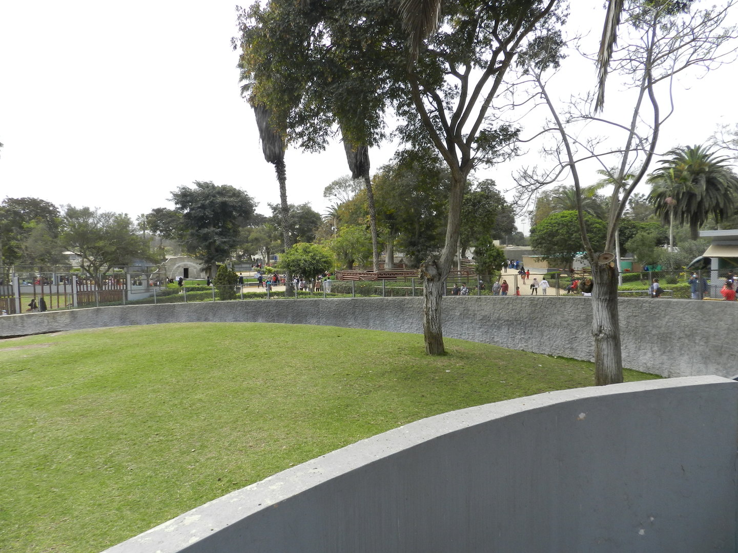 Hippo exhibit I - Parque de Las Leyendas