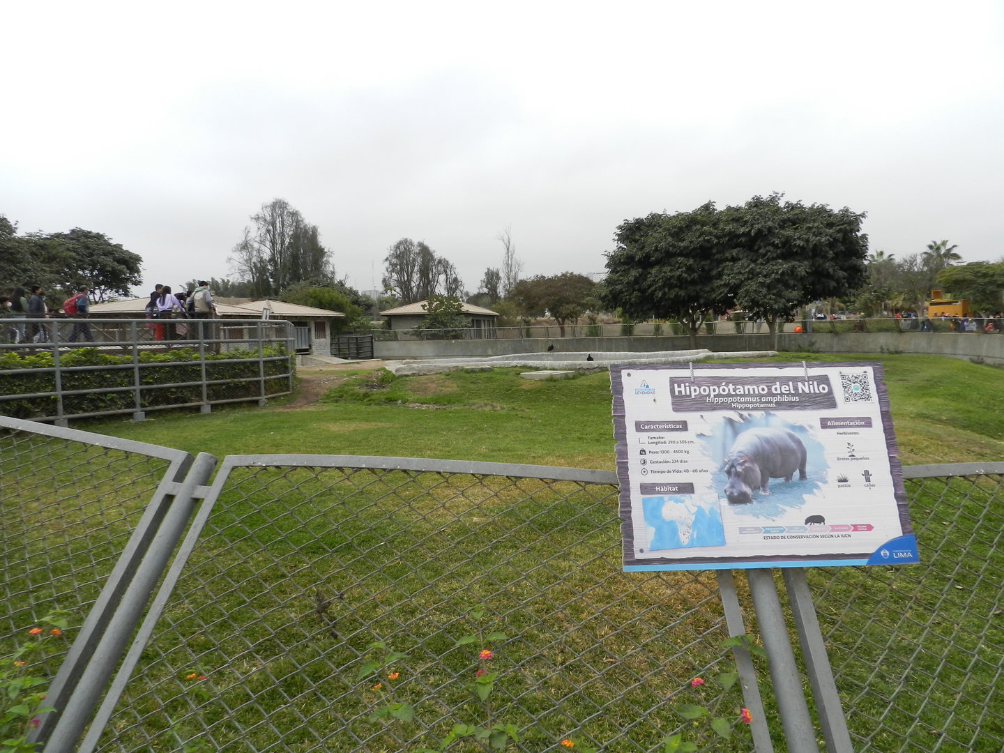 Hippo exhibit II - Parque de Las Leyendas