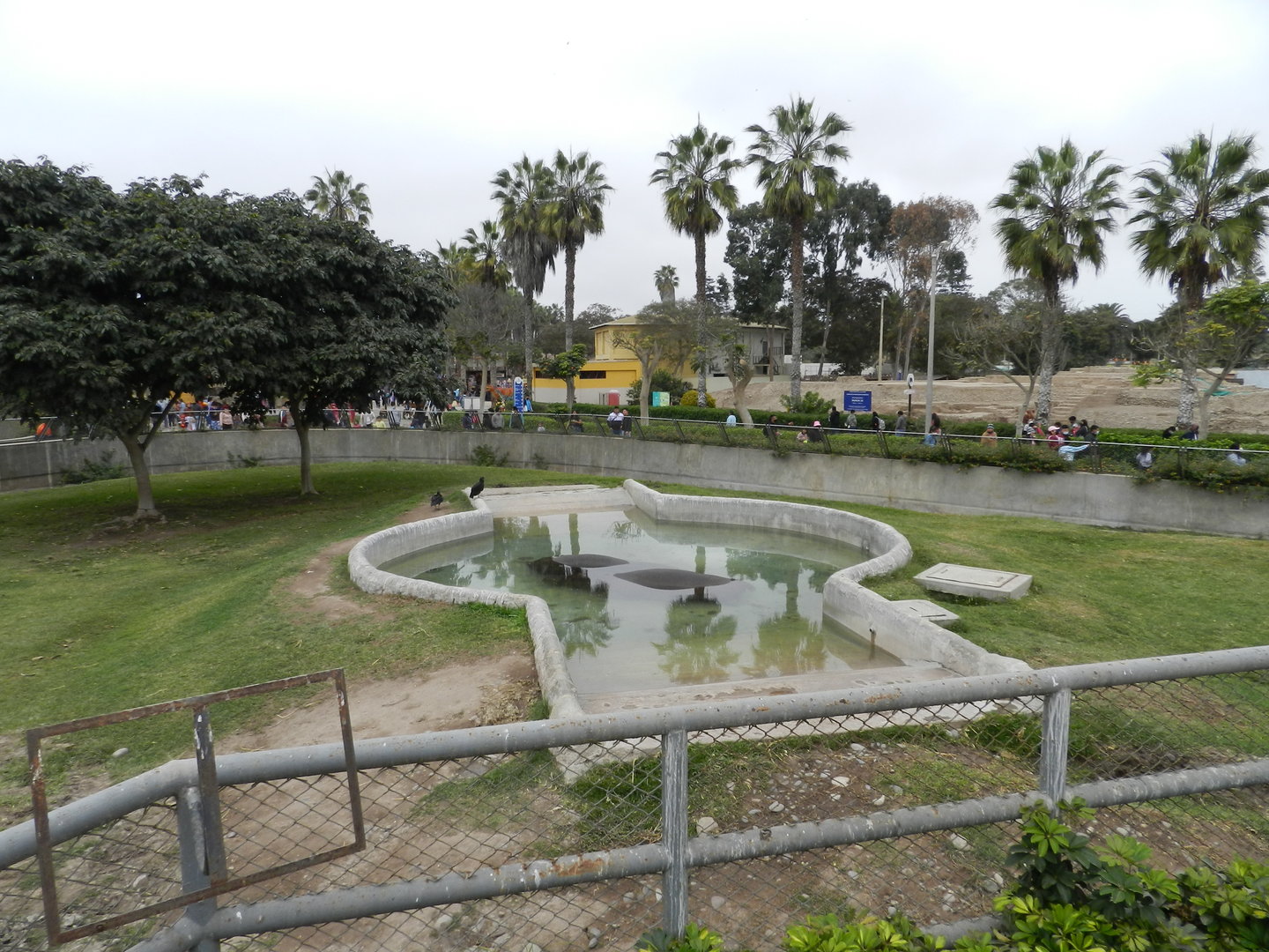 Hippo exhibit II - Parque de Las Leyendas