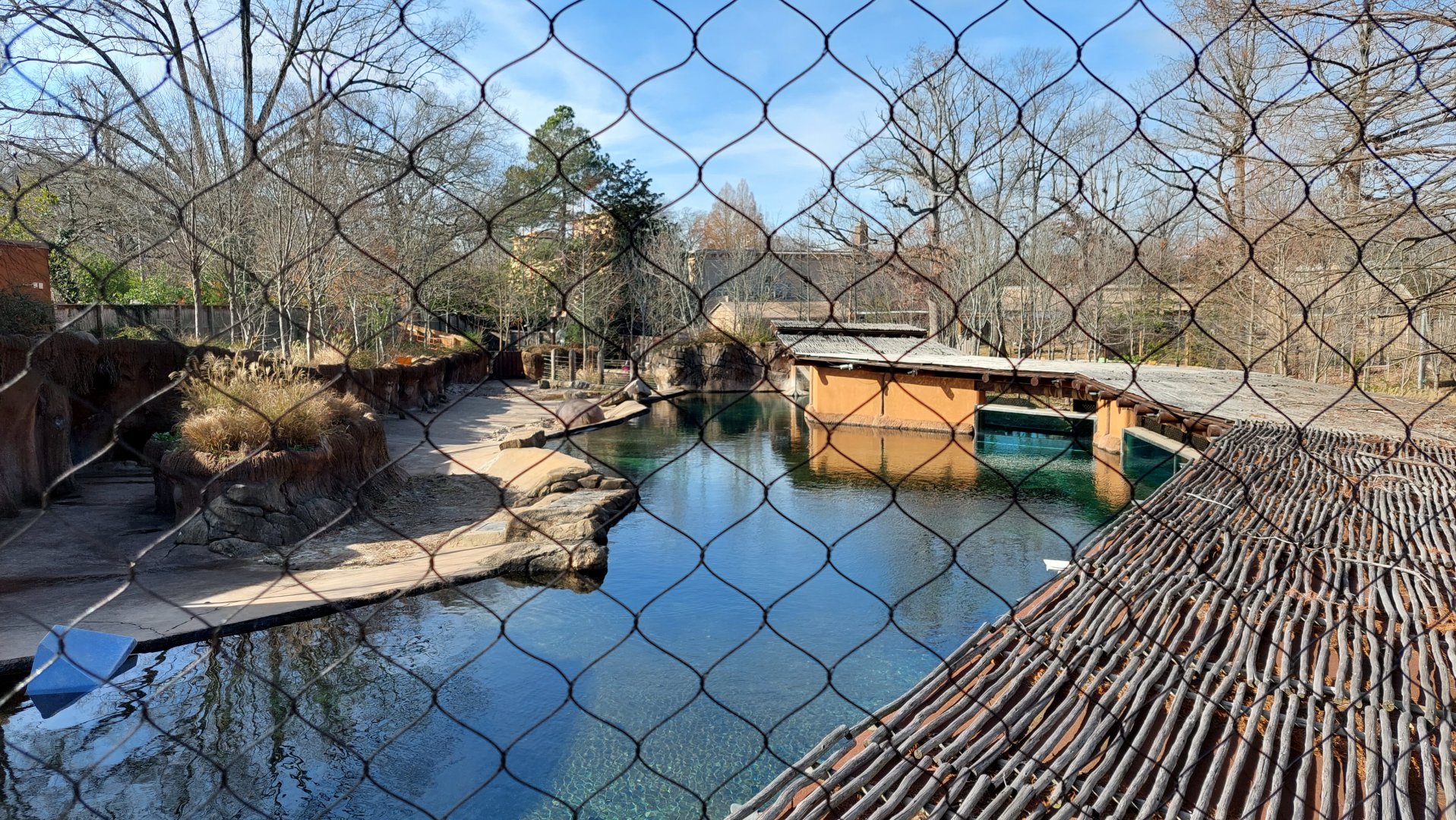 Hippo exhibit overlook