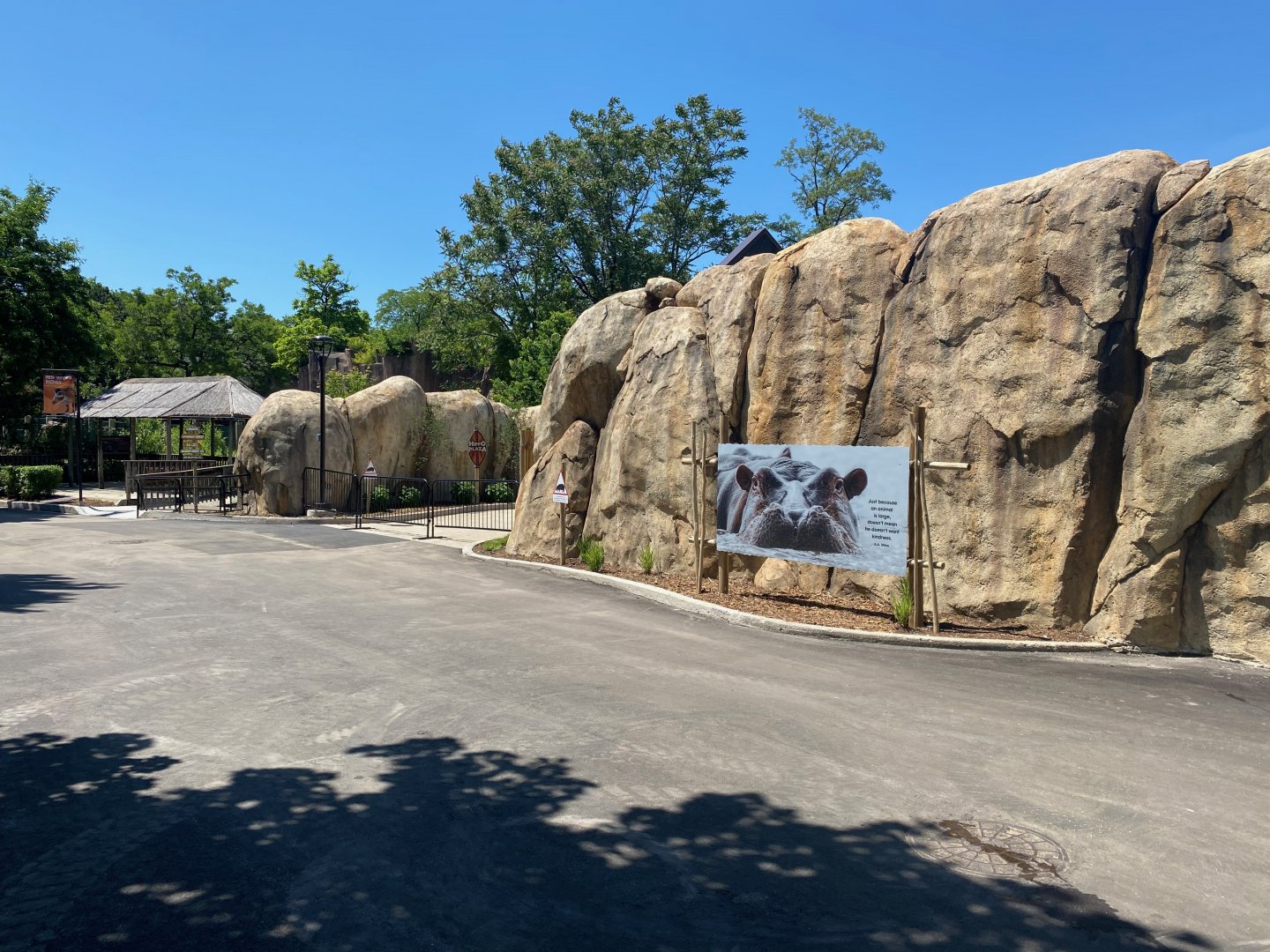 Hippo Exhibit Poster