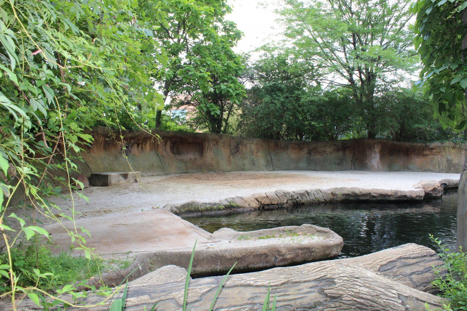 Hippo Exhibit - Rivers Edge