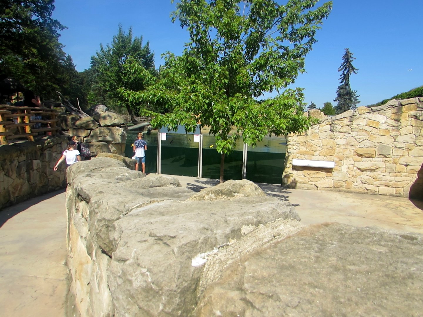 Hippo exhibit.Underwater view - July/2017