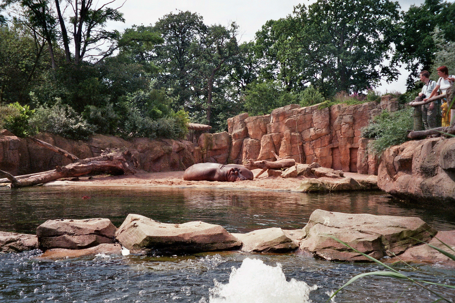 Hippo Exhibit