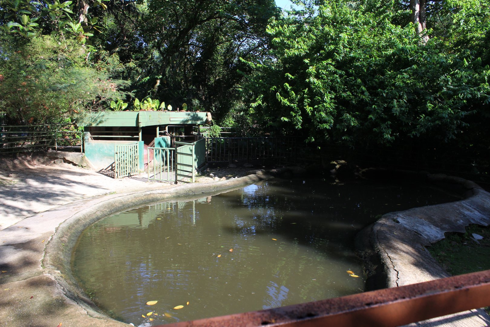 Hippo exhibit
